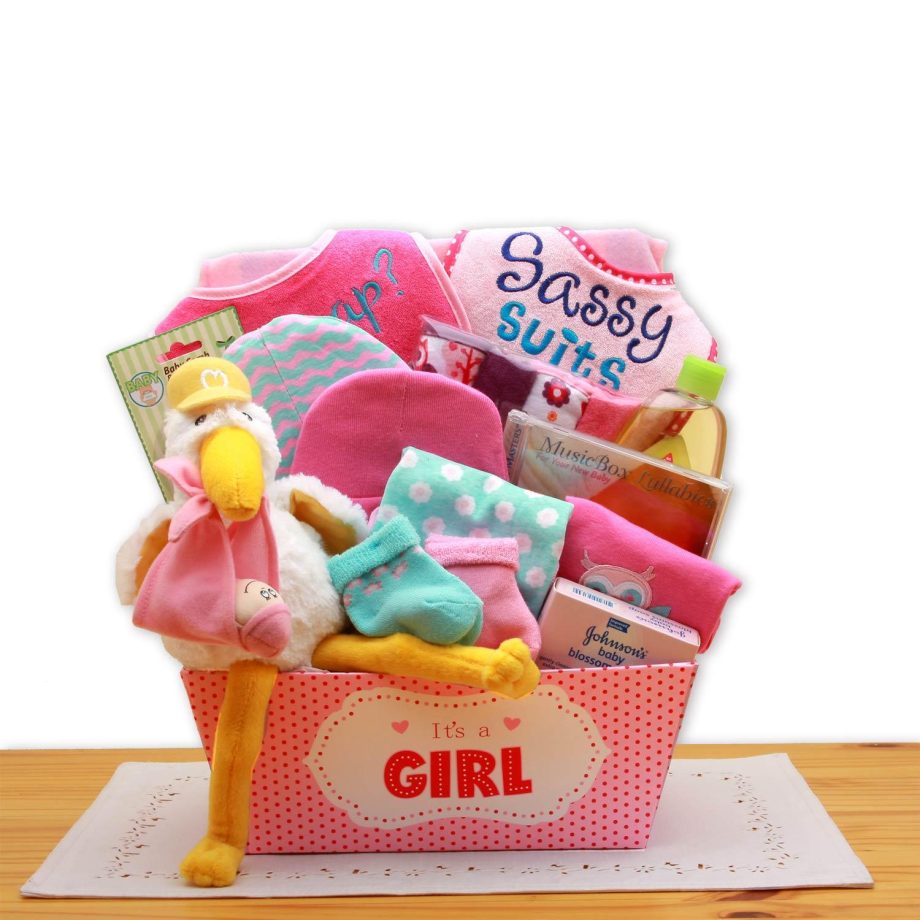 A Special Delivery New Baby Gift Basket- Pink - baby bath set - baby girl gifts - new baby gift basket - baby gift baskets - baby shower gifts